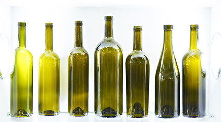 Empty bottles for wine in shop