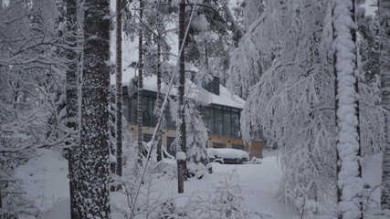 Winter in the Swedish forests