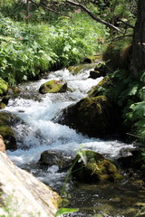 Lac des Sagnes