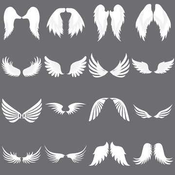 Vector Angel Wing logo set. Winged logo company. Set of Cute Angel Wing. Wing flying.