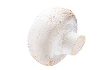 Fototapeta premium Isolated whole champignon mushroom on white background
