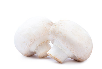 Two isolated ripe champignon mushrooms on white background