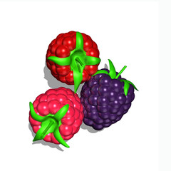 Shiny berries collection. Top down fruits.  Red, pink purple berry on isolated blank white background. Bright raspberry, blackberries, strawberry Top view. Realistic 3d design. 5K