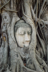 Fototapeta na wymiar Ruins of Ayitthaya, Thailand.