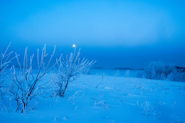 frosty day on the top of the mountain