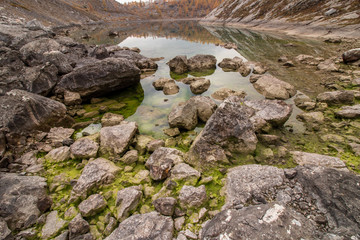mountain lake with seaweed