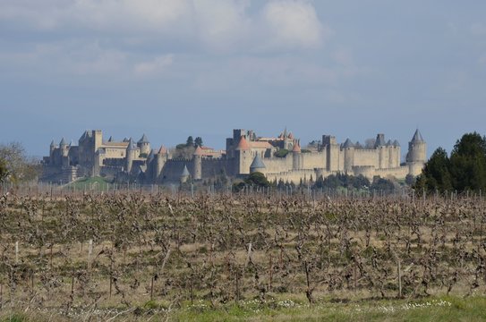 Nice View Of A Vineyard And City Of Carcassonne France