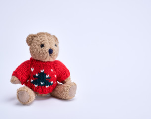 little teddy bear in a red sweater on a white background,