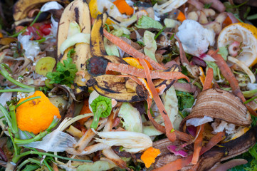 Compost, mixed vegetables and fruits
