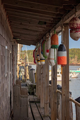 Marina with Buoys
