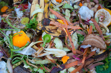 Compost, mixed vegetables and fruits