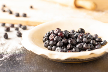 Fresh Blueberry Pie