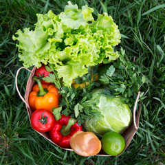 Full paper bag of healthy products on the grass, overhead. Top view. From above.
