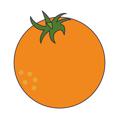 orange fresh fruit cartoon