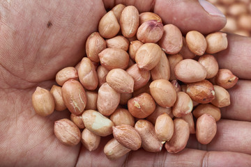 Peanuts are beneficial to the body