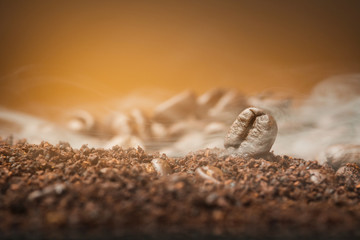 Close up Coffee beans over the cofee powder with smoke