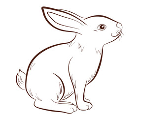 Rabbit in outline style isolated on white background, vector illustation of bunny in profile, coloring page for children