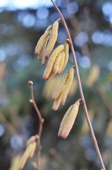 foto Sobieniak © Szymon