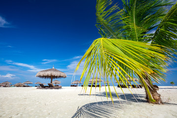 Tropical beach on Maldives Islands.