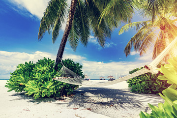 Hammock and palms on the beach.