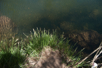 Pond 