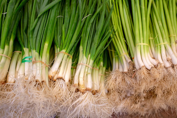 Green fresh onion texture background. Food concept photo.