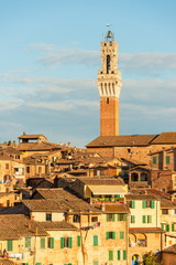 Fototapeta na wymiar Stimmungsvoll das Stadtpanorama von Siena im spätsommerlichem Abendlicht