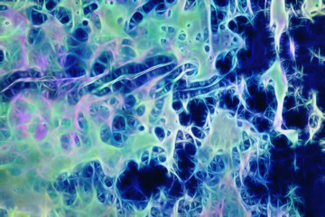 Texture of a cement wall