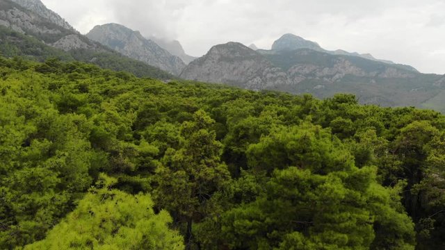 Aerial view of Mountains and Coast National Park in Turkey, Beldibi village