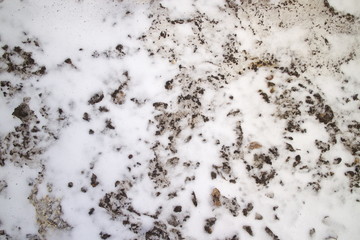 dirty spring snow