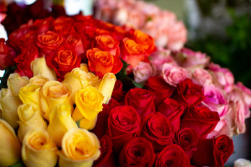 Colorful natural fresh yellow, pink, red and orange roses at florist shop