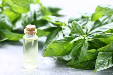 Bottle of essential oil with basil leafs on grey wooden table