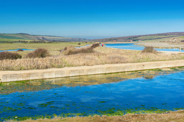 Walk to Cuckmere Haven beach near Seaford, East Sussex, England. South Downs National park. View of blue waters of the river, birds, selective focus