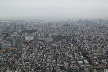 Fototapeta na wymiar view of Tokyo