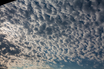 sky filled with white small puffy clouds