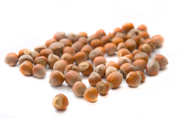 Many hazelnut or filberts isolated on a white background.