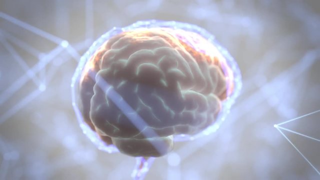 Brain  Digital Scanning 360 frames Loop