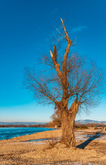 Obraz premium Beautiful winter sunset near Osterhofen-Danube-Bavaria-Germany