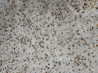 background of old floor.