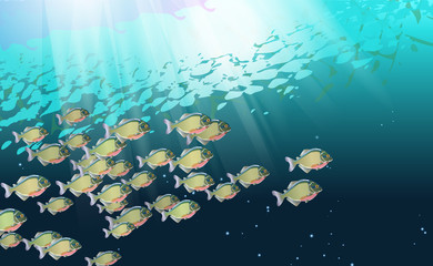 Fototapeta na wymiar Background, school of fish, in a river of piranhas. Aquatic life. Optimized from to be used in decoration, many Pacu, illustration vector. The symbol of the aggressive design for poster, banner