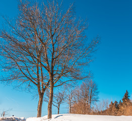 Beautiful winter view at the Grandsberg-Schwarzach-Bavarian Forest-Bavaria-Germany
