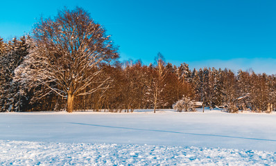 Beautiful winter view near Kirchberg-Bavarian Forest-Bavaria-Germany