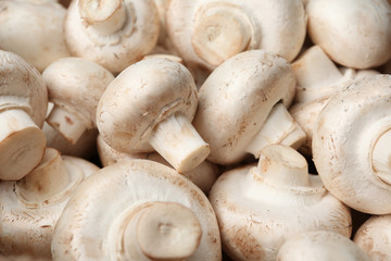Fresh champignon mushrooms as background. Healthy food