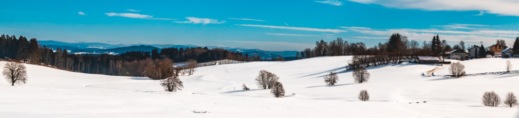 Fototapeta na wymiar Beautiful winter view near Kirchberg-Bavarian Forest-Bavaria-Germany