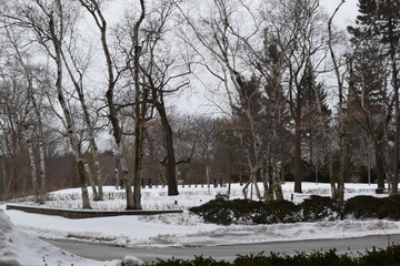 Winter park 