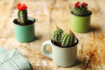 Cactus dans un pot pour décoration intérieure