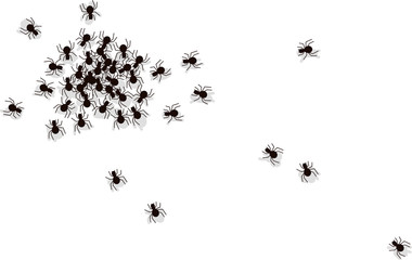 Hormigas