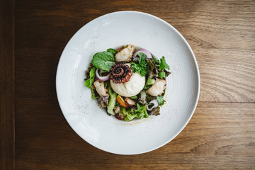 Top view of Smoked Galician Octopus with Burrata Cheese, radish, green oak and tomato.