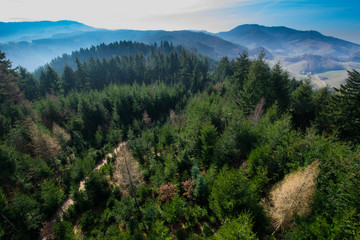 Blick vom Geigerskopfturm bei Oberkirch im Schwarzwald