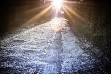 promienie wschodzącego słońca nad oszronionym trawnikiem © Henryk Niestrój